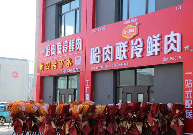 1701327023638833.png 44.png