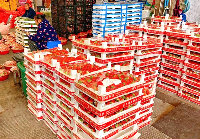 1703208556426624.png 3.png