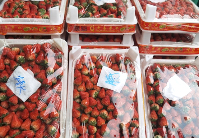 1703208570704790.png 官網(wǎng)圖片尺寸.png