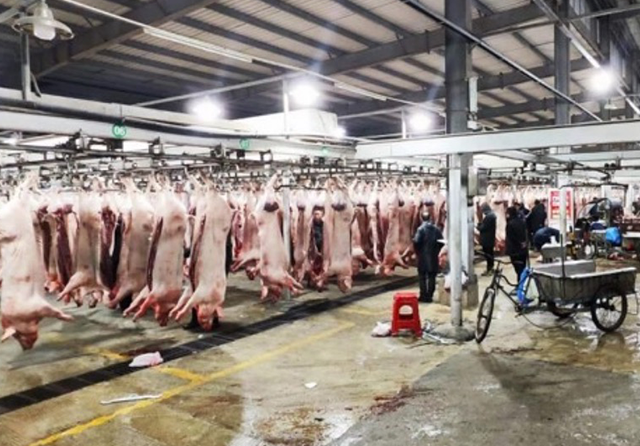 1706172743285412.png 1.png