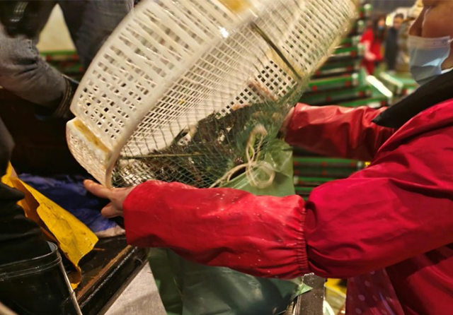 1707204049669428.png 4.png