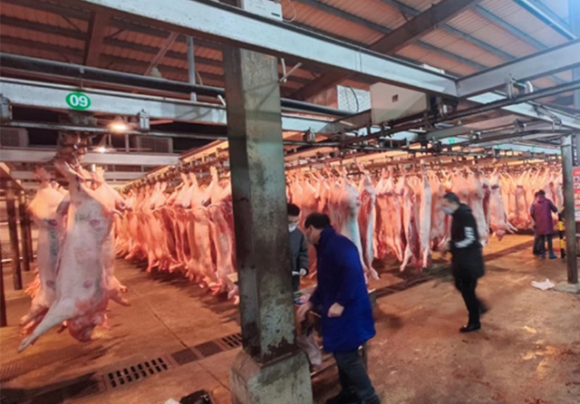 1707204058446530.png 5.png