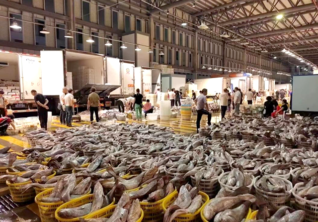 1714446000488843.png 4.png