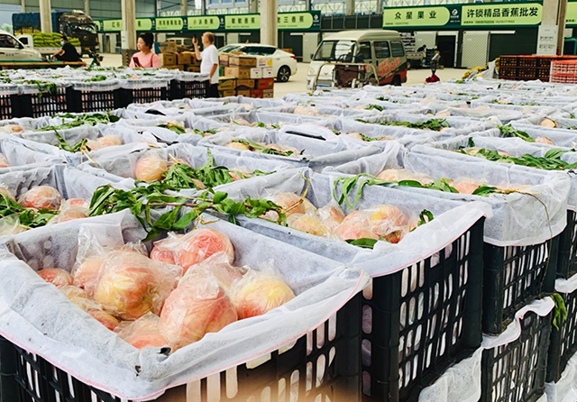 1726727674905868.png 官網(wǎng)圖片尺寸1.png