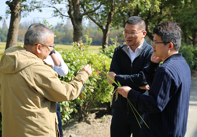 1731565994681899.png 官網(wǎng)圖片尺寸.png