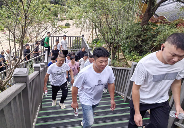 1733123311739494.png 1.png